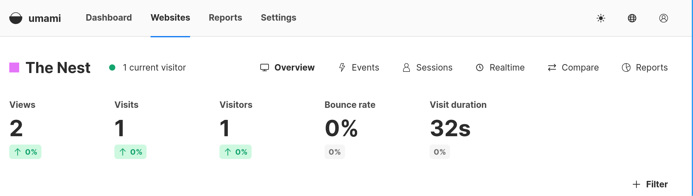 Umami with my traffic showing up in the stats